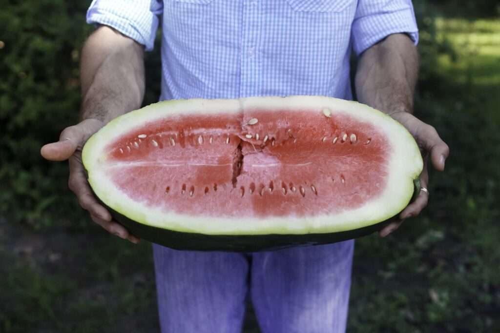 A man in a blue shirt and blue jeans holds up a large, oblong half of a watermelon, with bright pink flesh and small seeds.