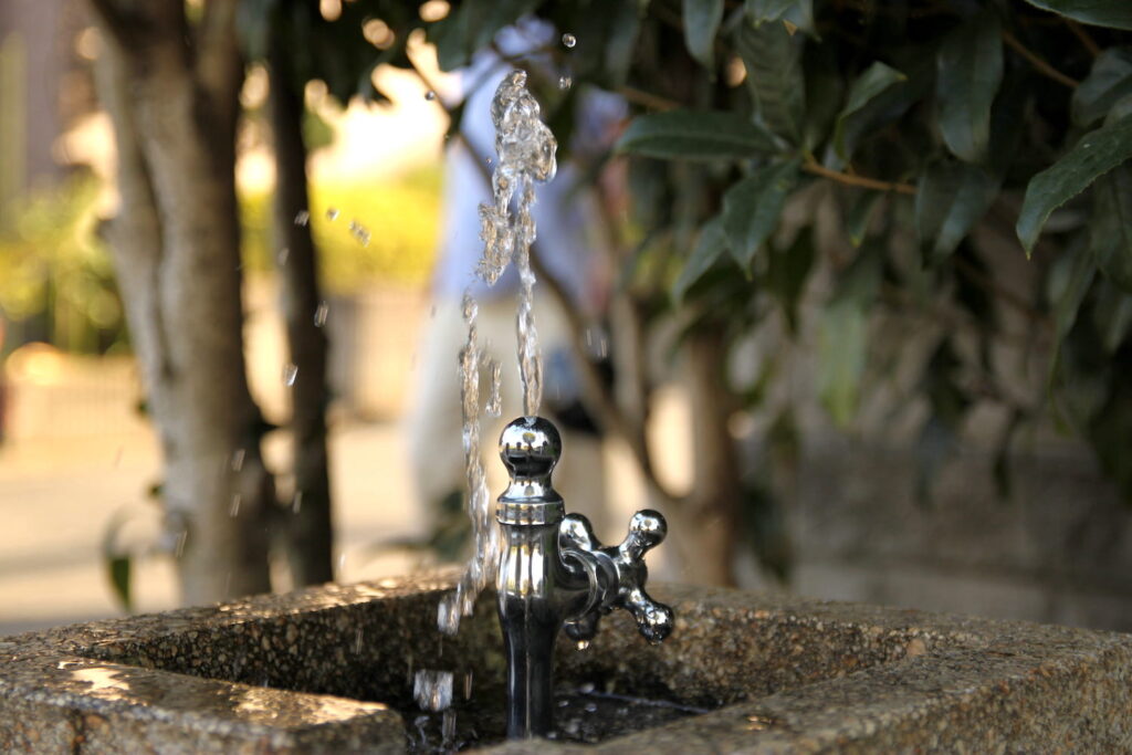 Close up image of a drinking fountain in a park, silver spigot shooting water up into the air. Green leaves and bushes are visible in the background.