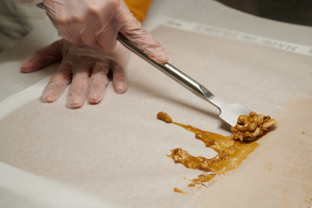 A latex-gloved hand uses a small metal spatula to scrape a thick, caramel-looking substance off of a white sheet.