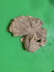 A small segment of brains. They're a pale, grey-ish cream color and have all of the ridge and wiggles of a brain in a drawing.
