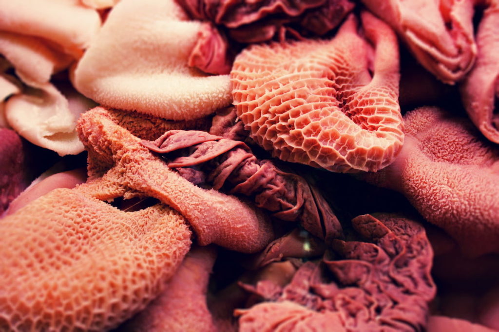 A close-up image featuring a pile of various organ meats of different textures and hues, ranging from pale pink to deep coral and magenta red.