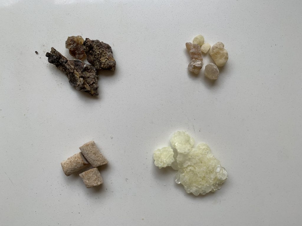 Four ancient gums: rough, craggy, dark brown spruce resin; smooth and rounded light yellow mastic; crystalline white frankincense; and gray-brown, rounded pellets of chicle.