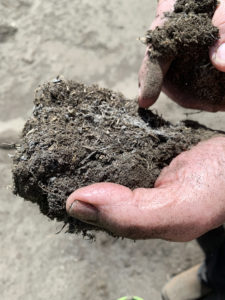 Photo of a man's hand holding compost, his other hand is pointing to some pale white-gray threads in the compost.